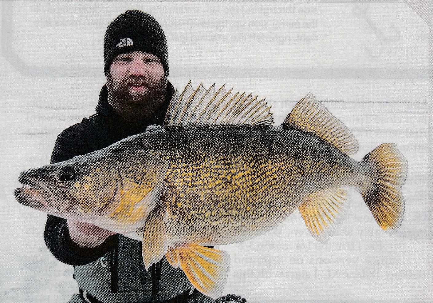 GENIUS WHISPERS IN AN INTRICATE WALLEYE WORLD - Fishing Authority Blog