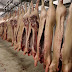 برلماني يفضح ترخيص الجزائر بلحوم الخنازير