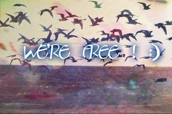 We are free