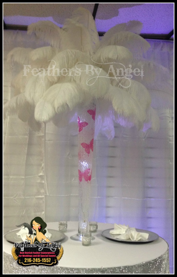 Feather Centerpieces in Cleveland Ohio Ostrich Feather Centerpiece