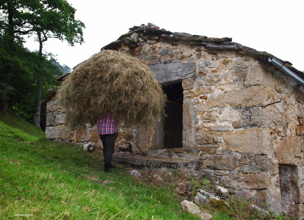 areimagen Comarca del Rio Pas, Pisueña y Miera Cantabria