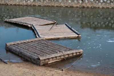 The floating log raft model for animals spread around the world is being developed, and some secular scientists are admitting to some aspects of the model.