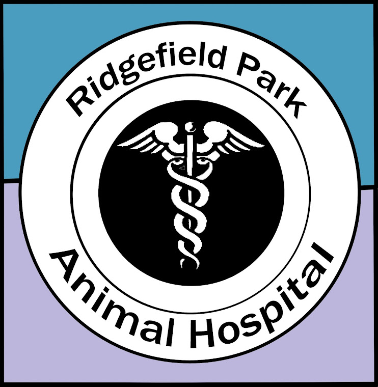 Ridgefield Park Animal Hospital Understanding Your Pet's Bloodwork
