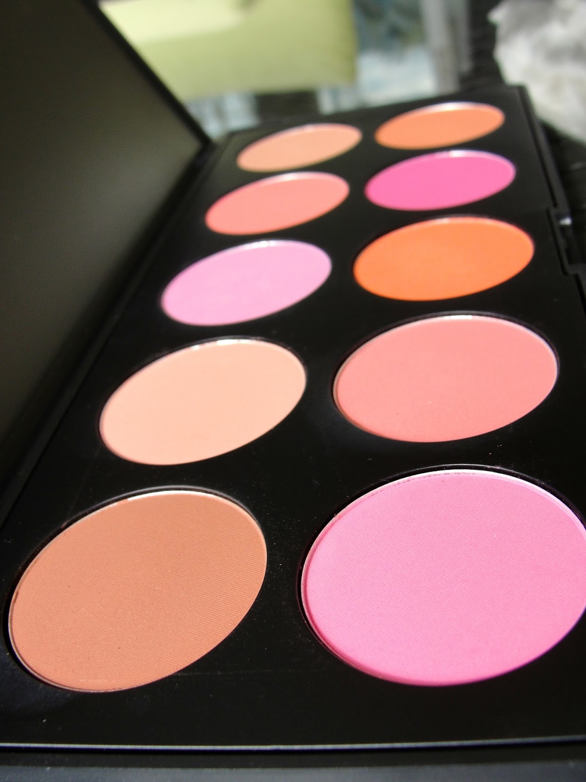 BH COSMETICS WILD CHILD BAKED PIGMENTED EYESHADOW &amp; PROFESSIONAL BLUSH