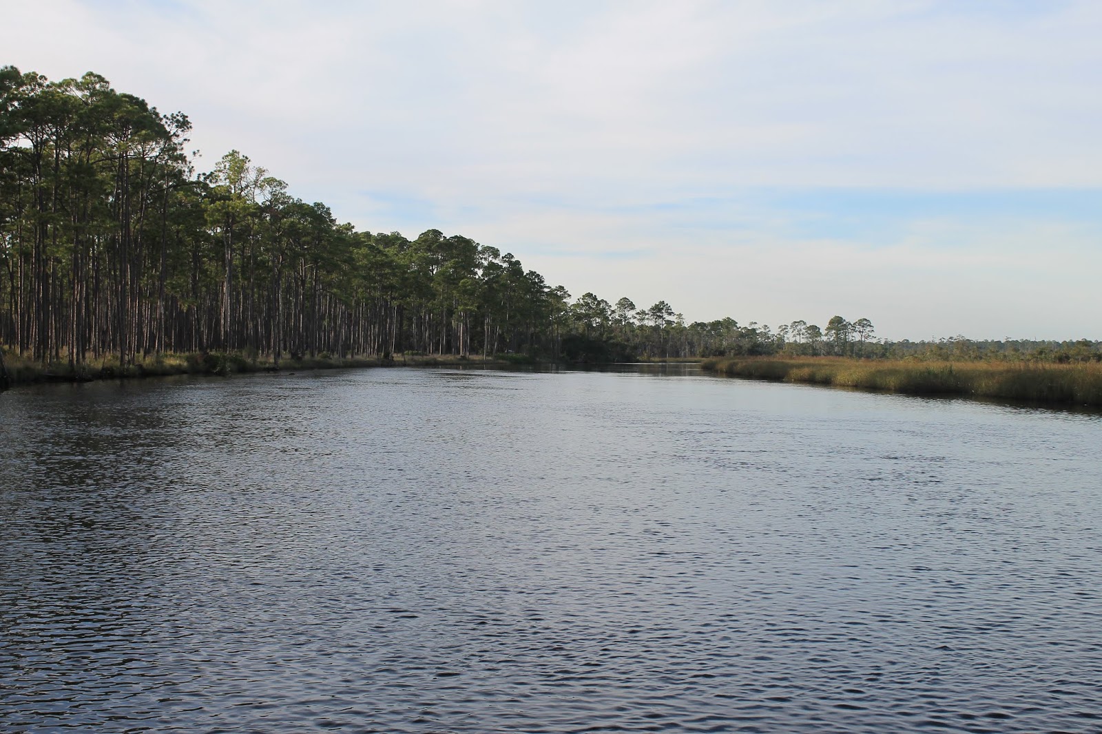 lovemycamper Ochlockonee River State Park, Sopchoppy, FL