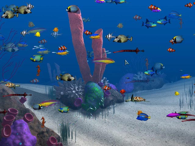 Big Kahuna Reef 2 Free Download Full Version