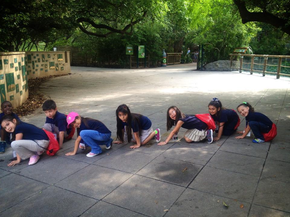 Field trips, field days and 6 year olds