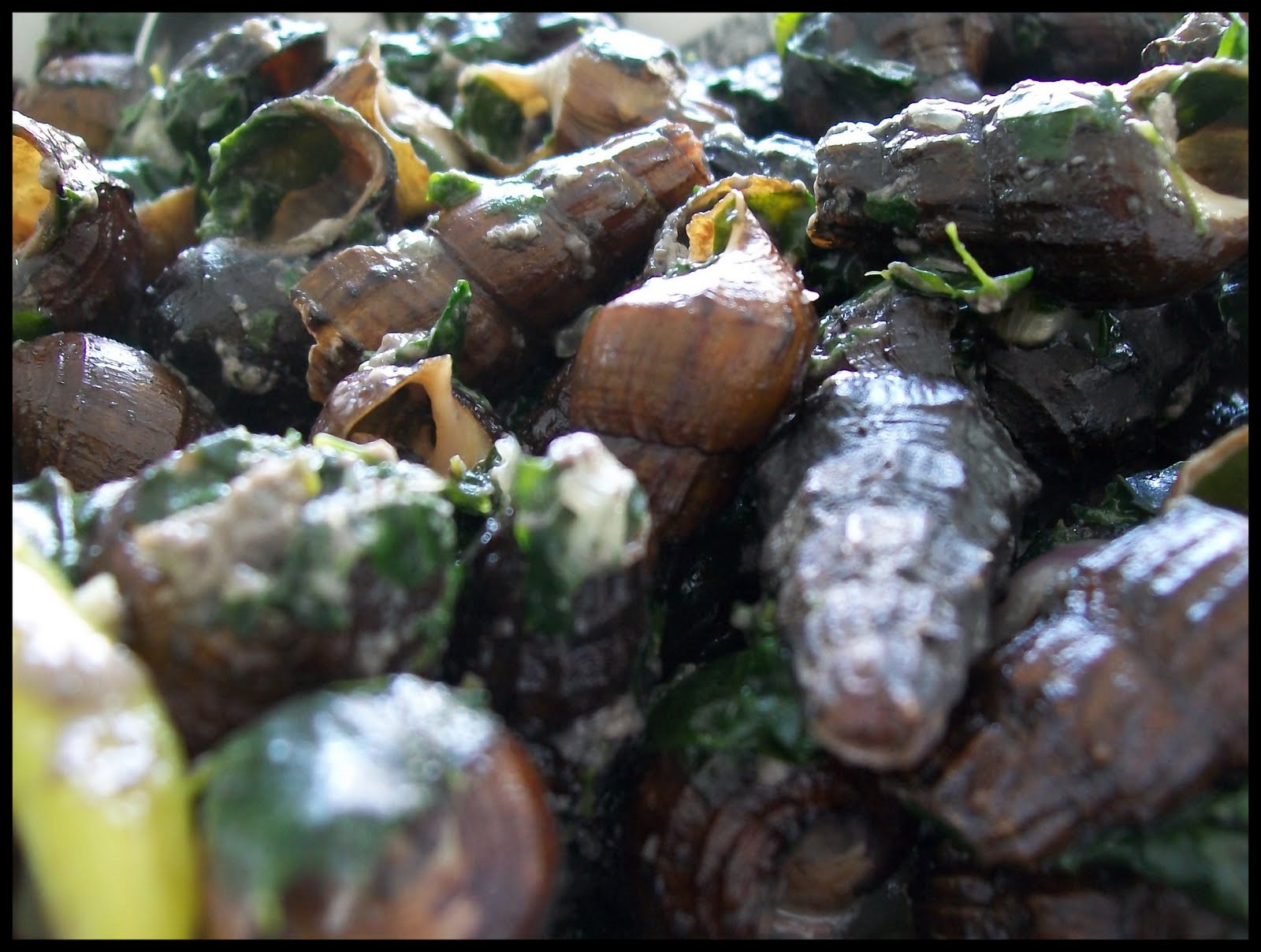 JoyDiary: Exotic food: Snail