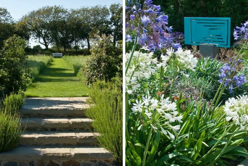 Escallonia Hedge Stock Photos Escallonia Hedge Stock Images Alamy