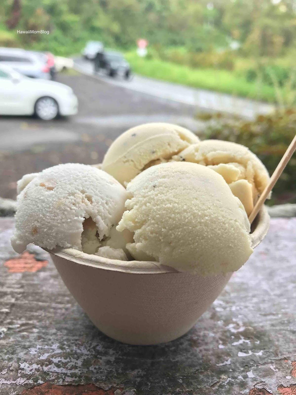 Hawaii Mom Blog Visit Maui Coconut Glen's