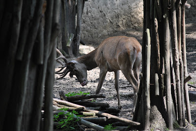 zoo Nyiregyhaza