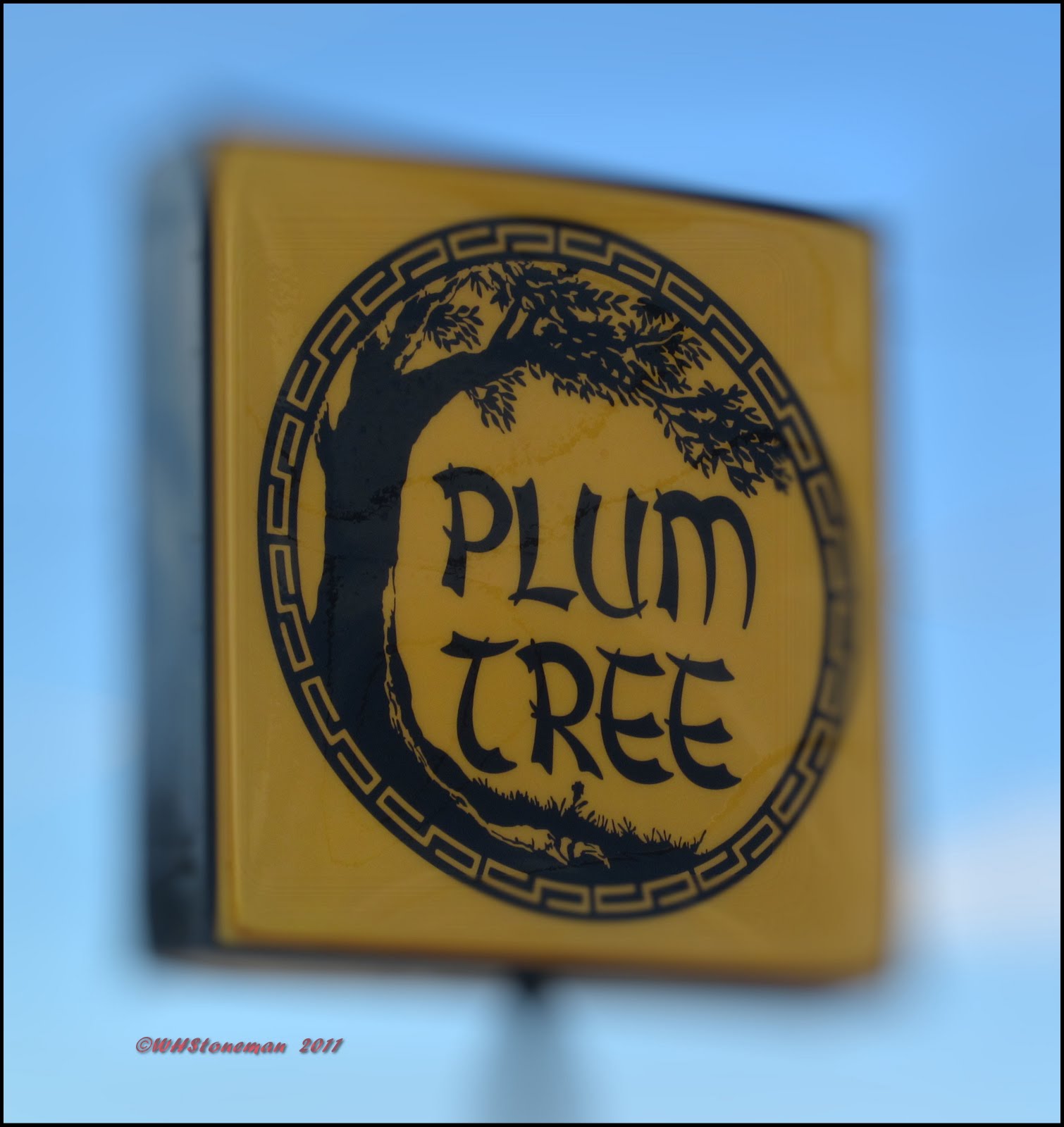 On The Town Dining with Mr. Bill Plum TreeKnoxville