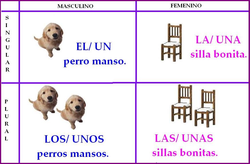 Español para principiantes