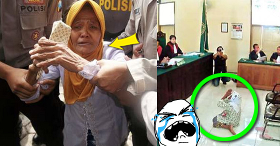  Karena Mencuri Minyak Kayu Putih, Nenek Ini Didenda 15 Juta | Hello-pet