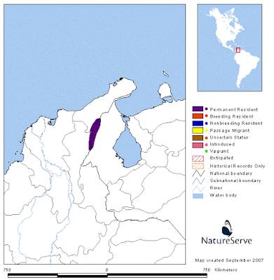 Metallura iracunda map
