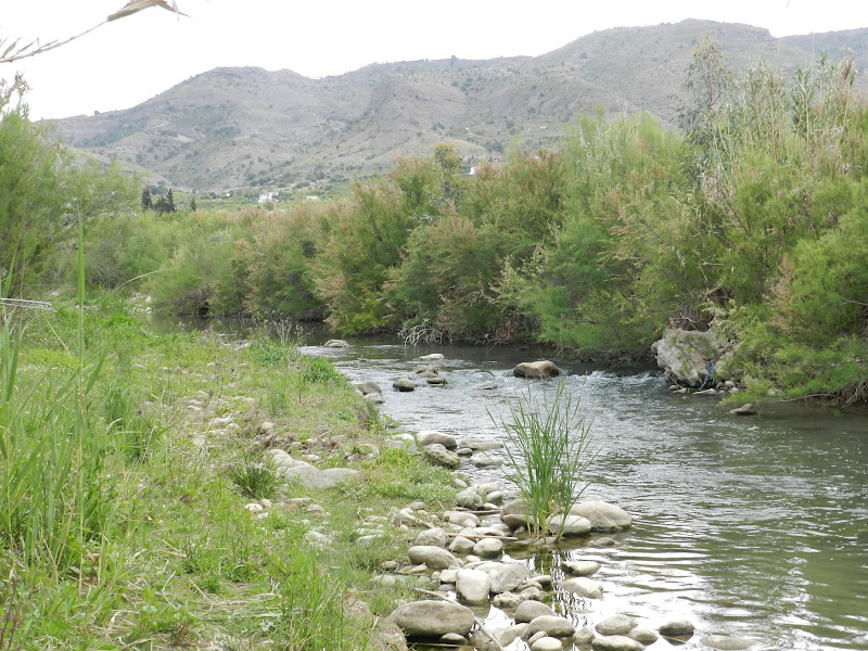 Foto de Observatorio del Río Guadalhorce en Pizarra en Pizarra, Málaga