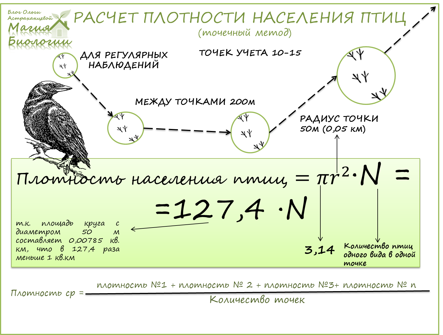 Плотный считать. Маршрутный метод учета птиц. Формула расчета плотности птиц. Плотность популяции птиц. Расчет плотности населения птиц.