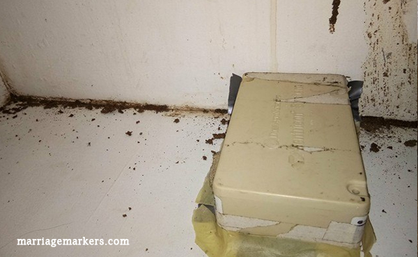 how to get rid of termites - pest control -  home - home improvement - Bacolod blogger - termite infestation - home repairs - termite bait