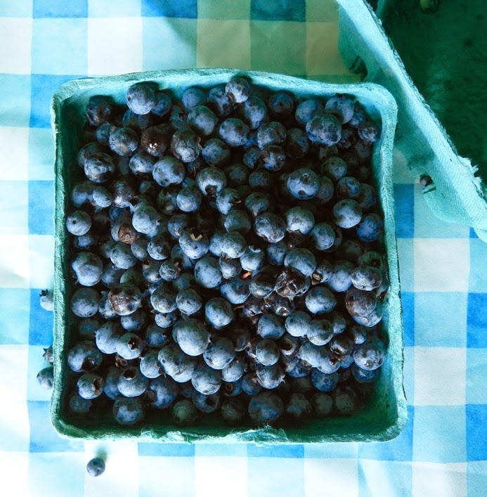 patternpatisserie: Summer into Autumn Pudding with Wild Maine Blueberries