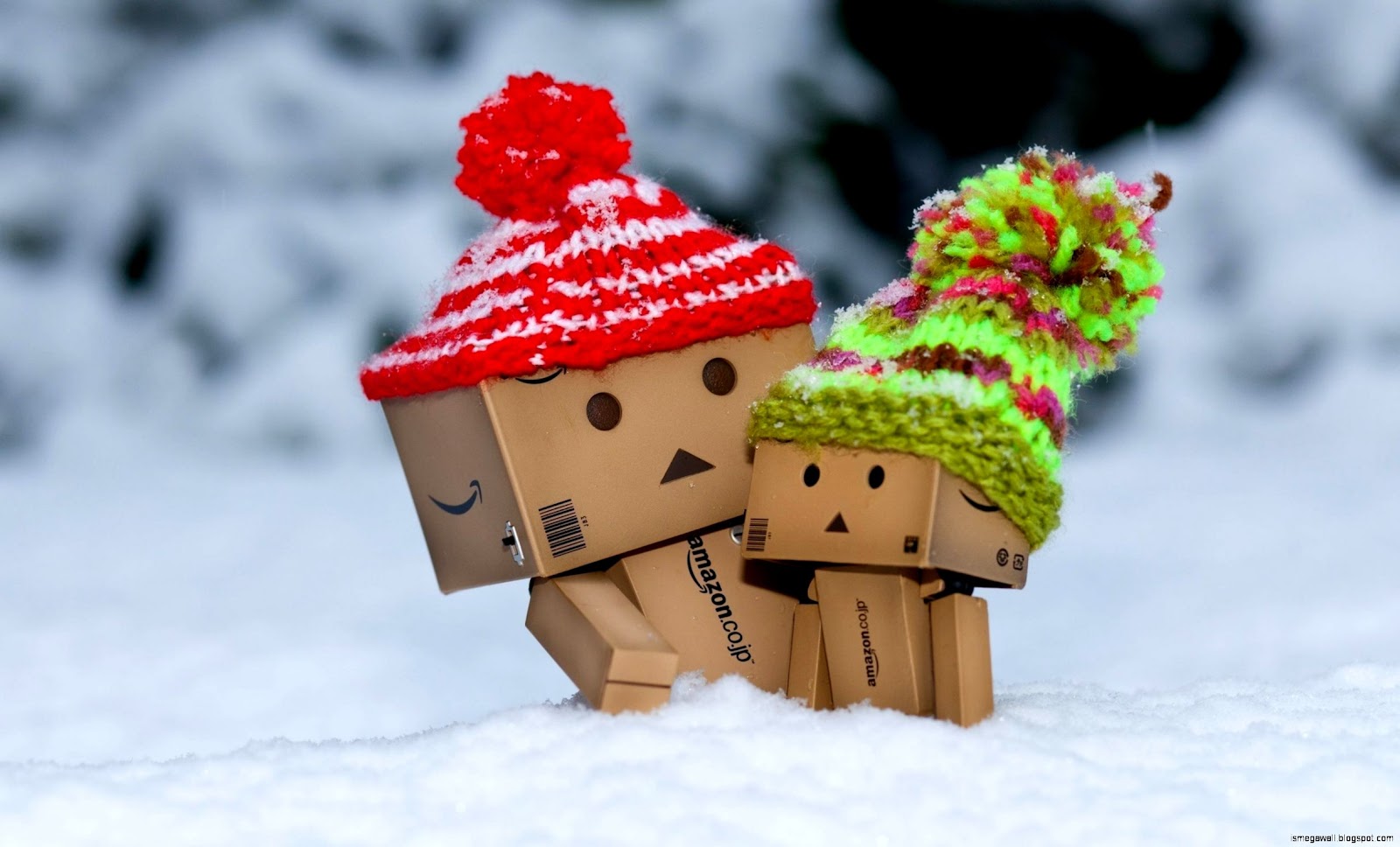 Hamster Wallpaper Lucu | Mega Wallpapers