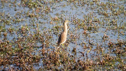 Keetham Lake