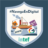 Navega por la información (1ª edición)