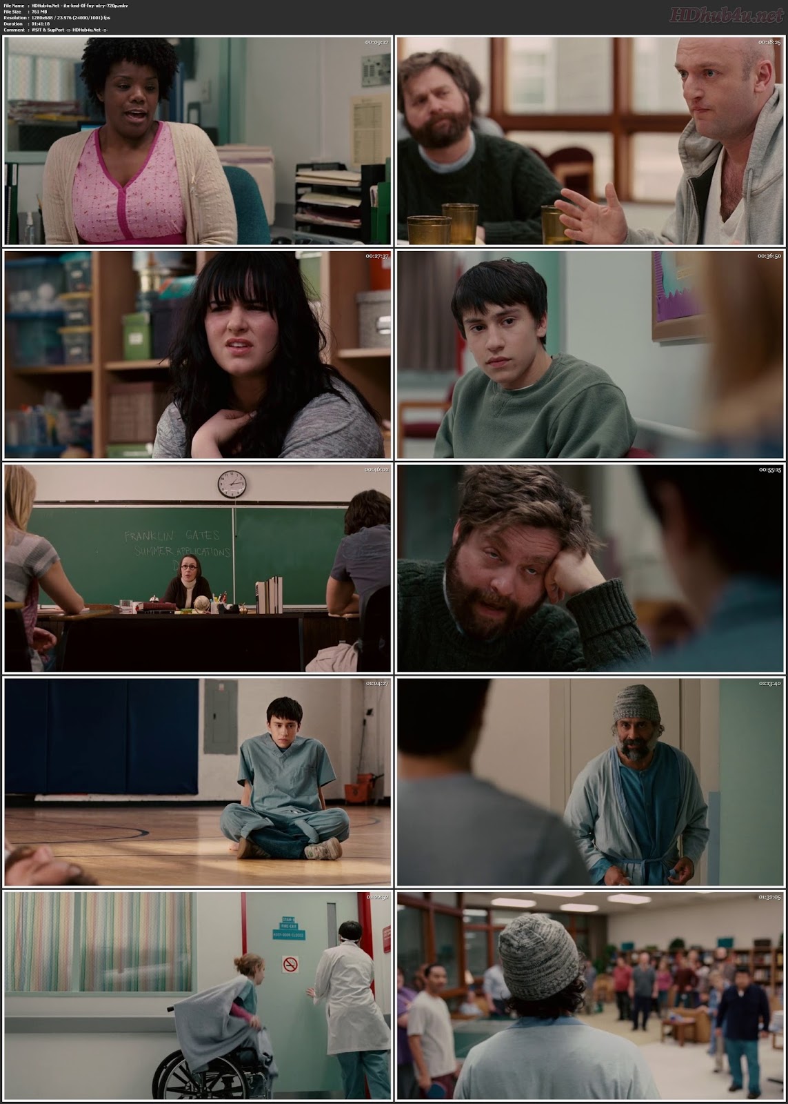 Its Kind of a Funny Story 2010 300Mb Hindi Dual Audio 480p BluRay Download
