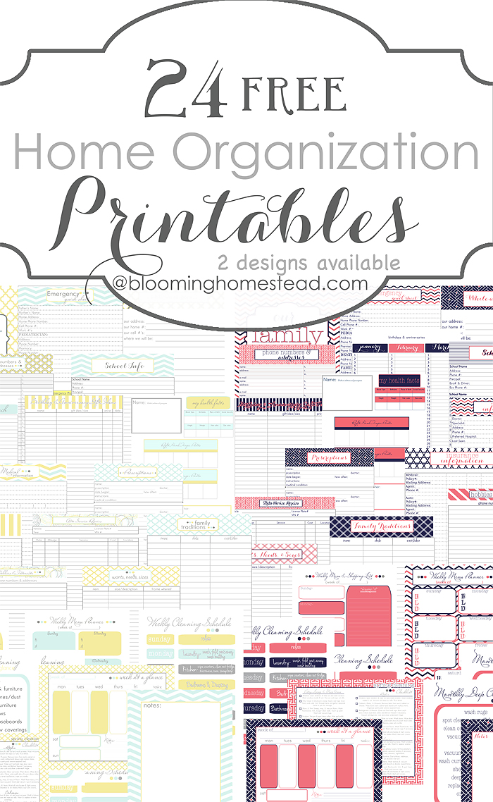 15 Free Printables That Will Make You An Organization Genius Craftsonfire