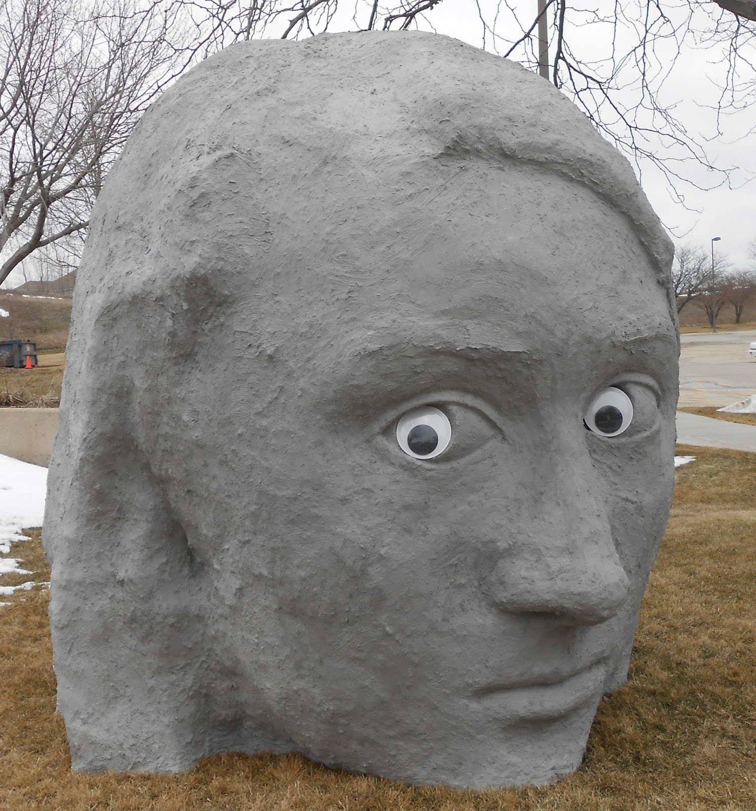 Bibliognome Googly Eyes at Work Look at the Library in a new way