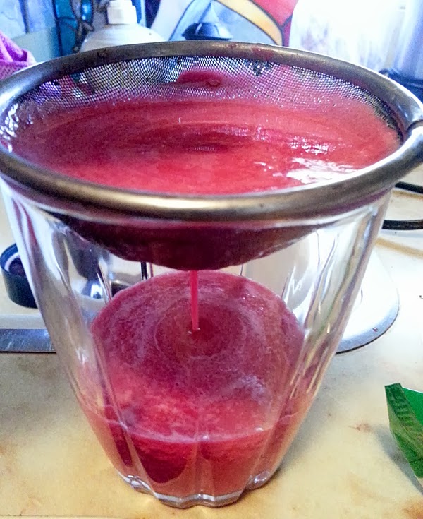 The MARTINI DIVA LOADED CACTUS SLIDERITAS Cactus Pear Margarita