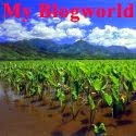 My Blogworld