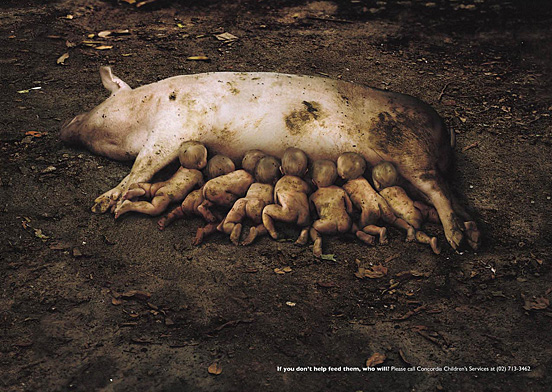 Piglets.jpg