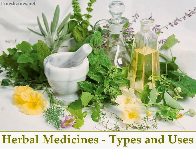 Herbal Medicines Types and Uses