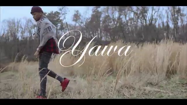 tekno yawa mp4 download