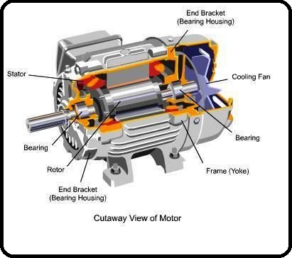 Electrical and Electronics Engineering: Cutaway view of Motor