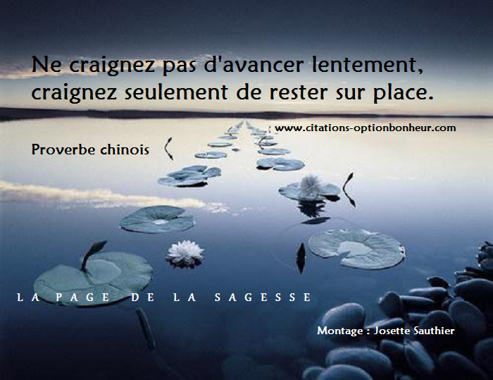 Les Panneaux Roses Ne Crains Pas D Avancer Lentement