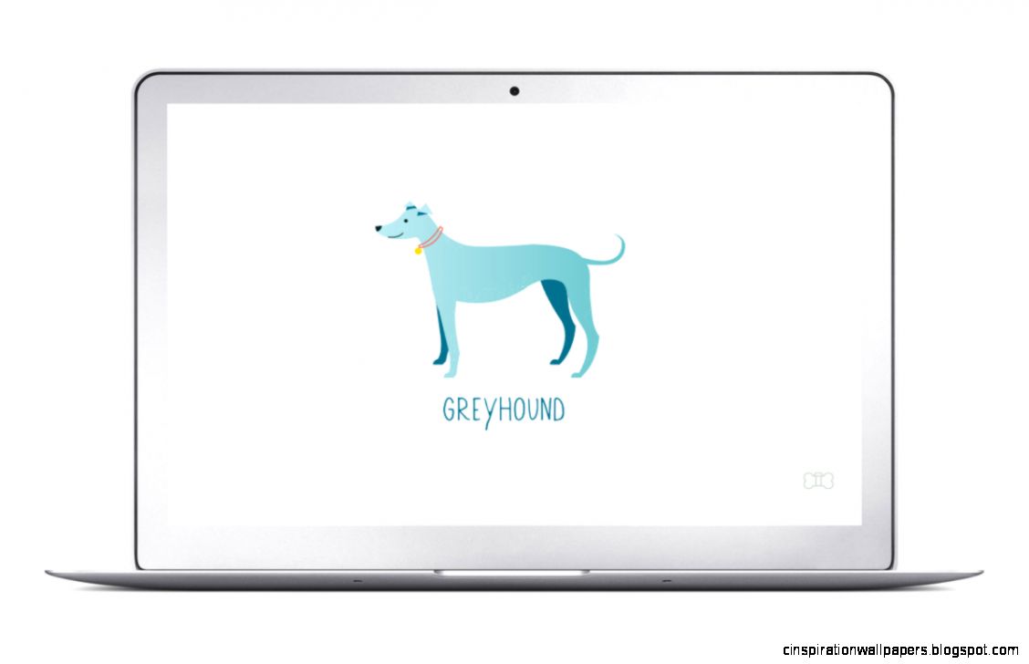 Background Check The Greyhound Free Download DogVacay Official
