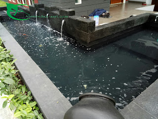 JASA KOLAM KOI MINIMALIS TUKANG KOLAM MODERN | HARGA KOLAM KOI | TUKANG KOLAM KOI JABODETABEK