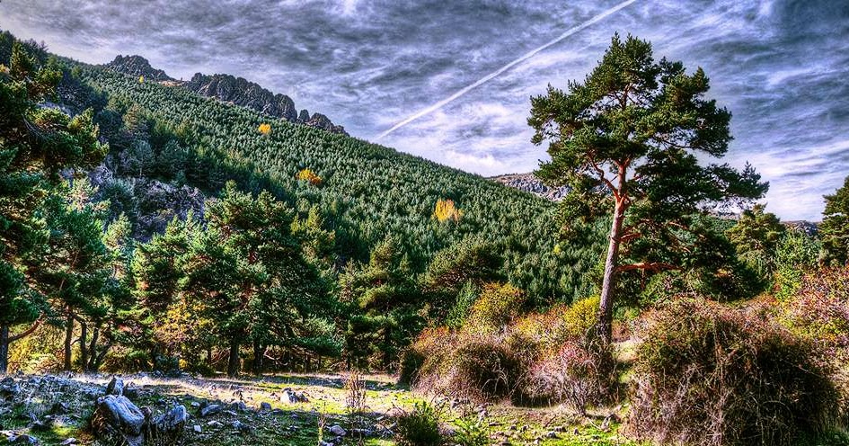 Serrania.: La Sierra Norte de Guadalajara.