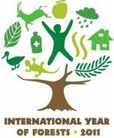 Ano Internacional das Florestas