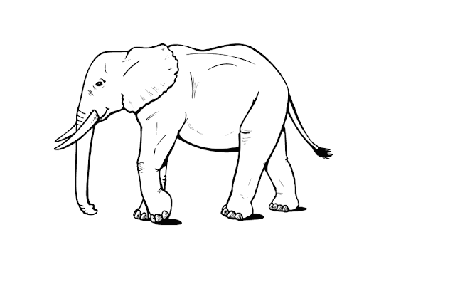 Elephant Cartoone Colour Drawing HD Wallpaper