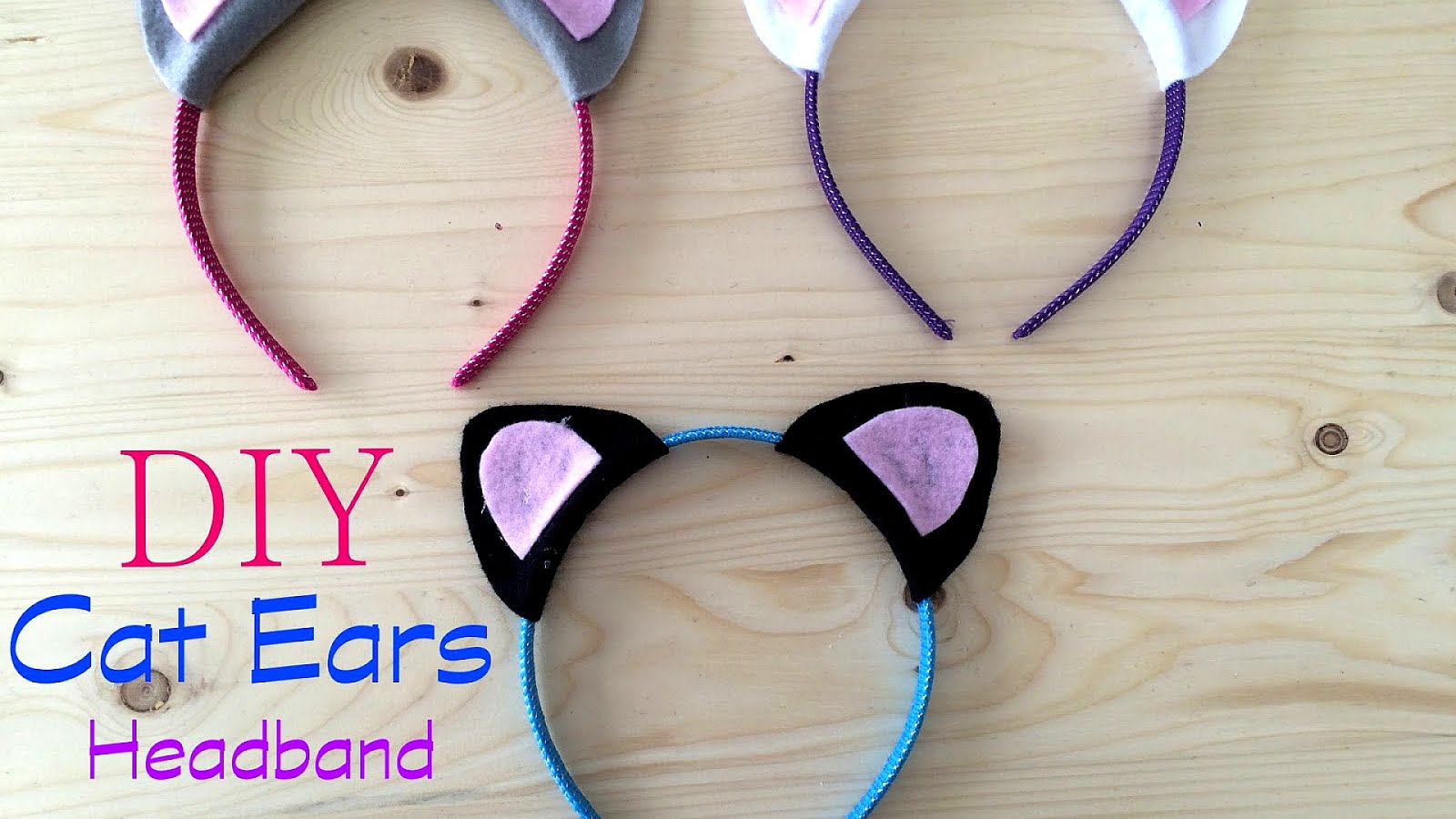 Microchip implant (animal) Cat Cat Choices