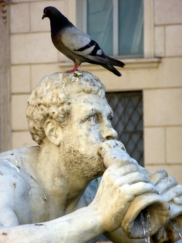 Cynful Musings: Piazza Navona
