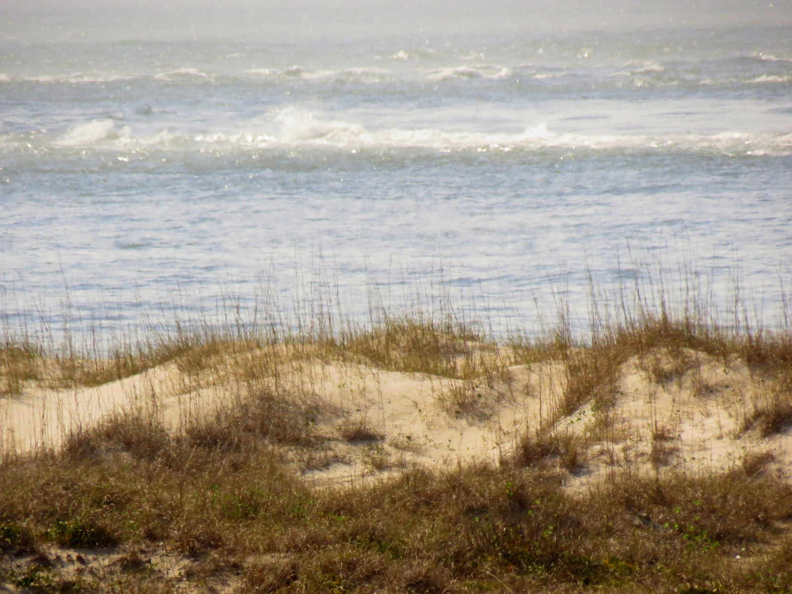 Beth's Blog A Visit From a Rochester Friend and a Bald Head Island