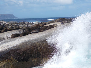 The rough seas encountered on way to "Duiker Island".