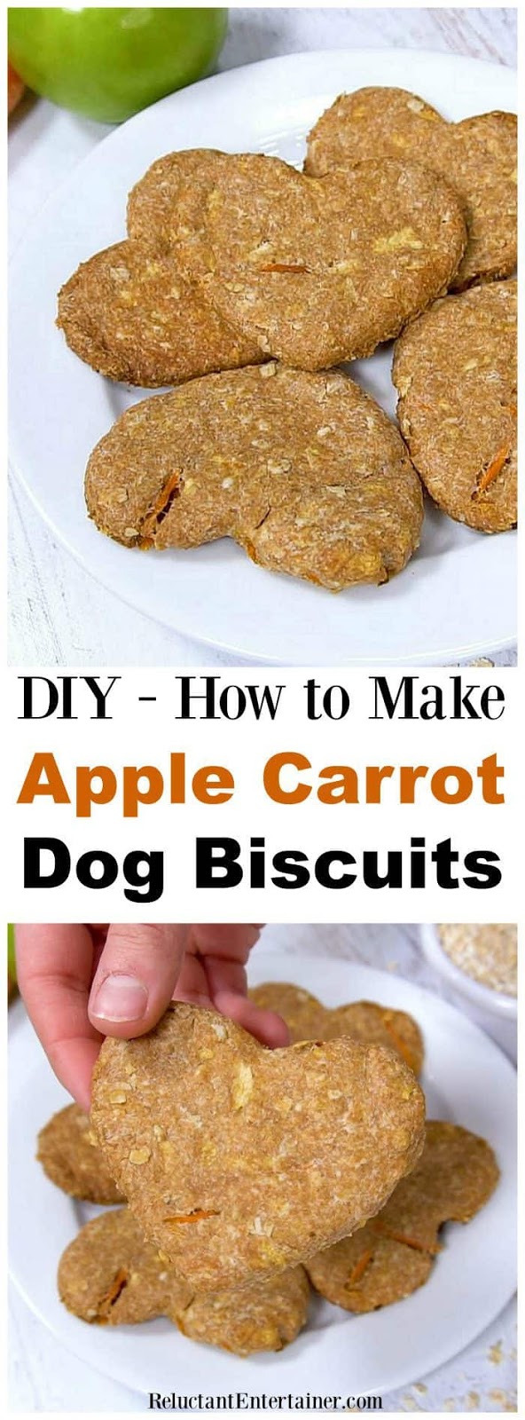 Lisa's World Apple Carrot Dog Biscuits
