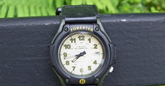 casio forester fts 100