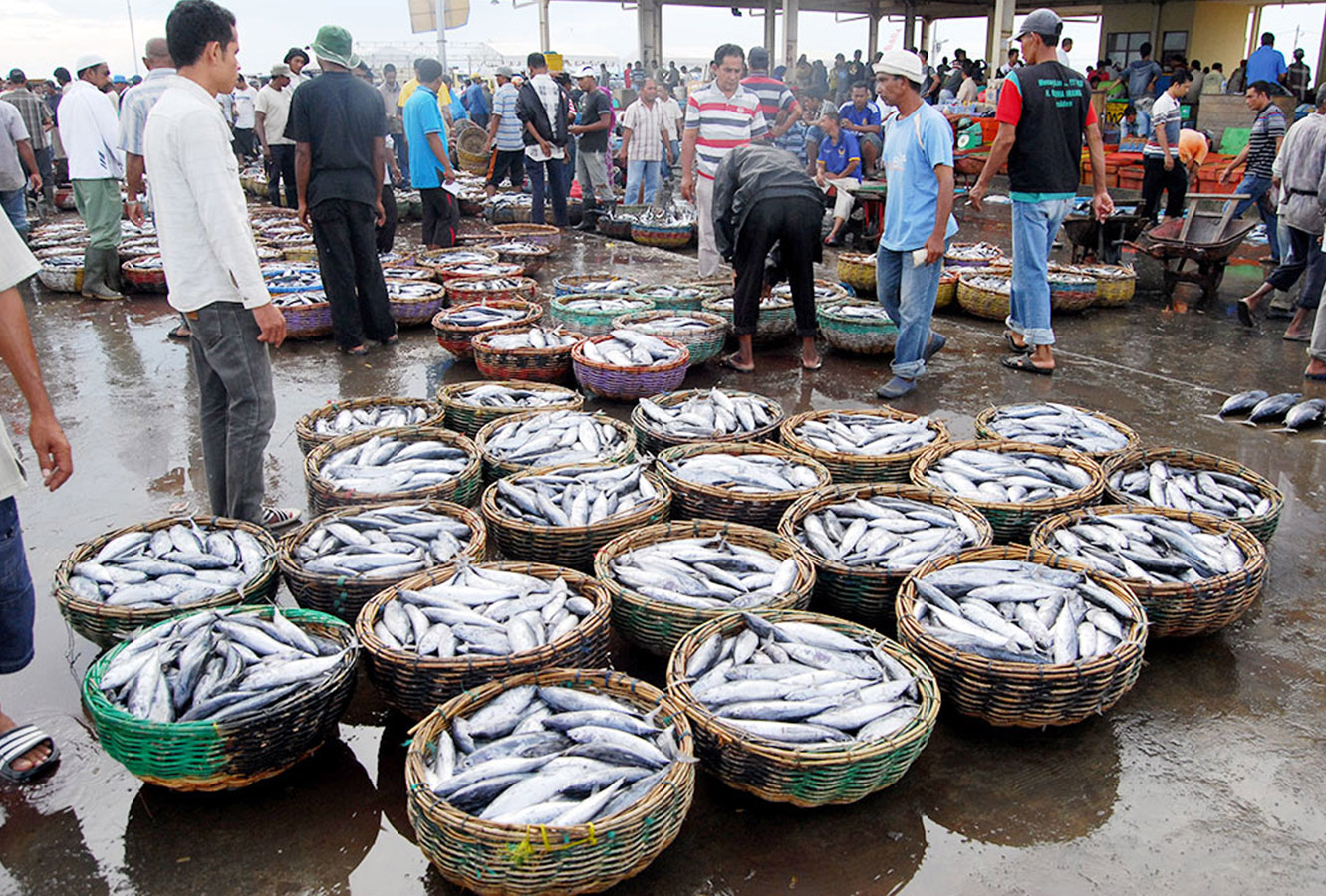 Aktivitas penjualan ikan di TPI. Aktivitas penjualan ikan di TPI.