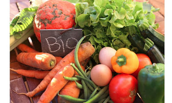 SUPPLIER TUPPERWARE MALAYSIA