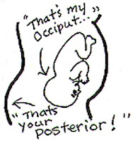 Spinning Babies Hear the inside scoop on the beliefs I share through the message of Spinning Babies. You'll hear about birth anatomy in a totally new way. More than the basics are given, so get your cup of tea. If you have a doll grab it for late in the podcast and line your baby up in the baby positions with Gail and Adriana.
